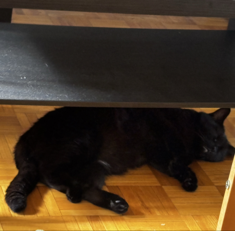 Sleeping