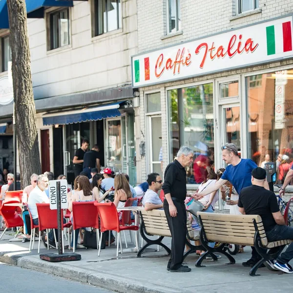 World Cup 2026 Watch Party at Caffe Italia